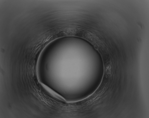 X0000090880772200708031030