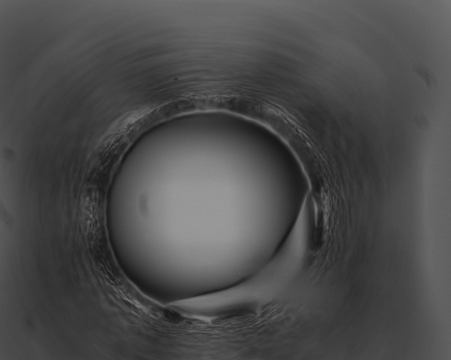 X0000090880773200708031030