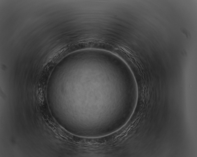 X0000090880774200708031030