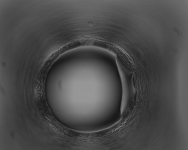 X0000090880775200708031030