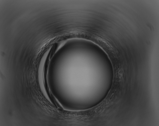 X0000090880776200708031030