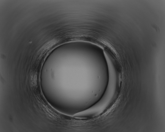 X0000090880777200708031030