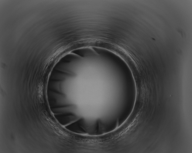 X0000090880778200708031030