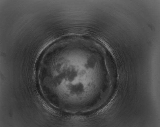 X0000090880779200708031030