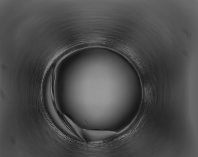 X0000090880780200708031030