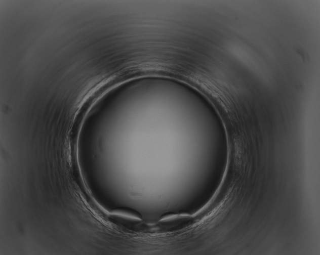 X0000090880782200708031030