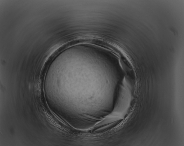 X0000090880783200708031030