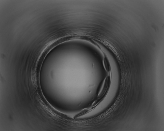 X0000090880784200708031030