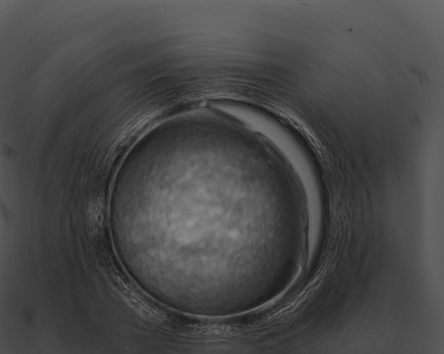 X0000090880785200708031030