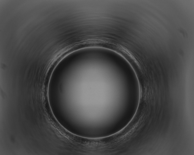 X0000090880786200708031030