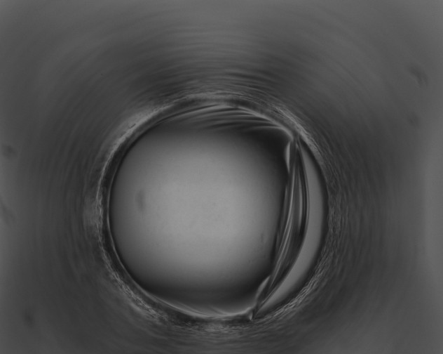 X0000090880787200708031030
