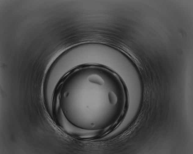 X0000090880788200708031030