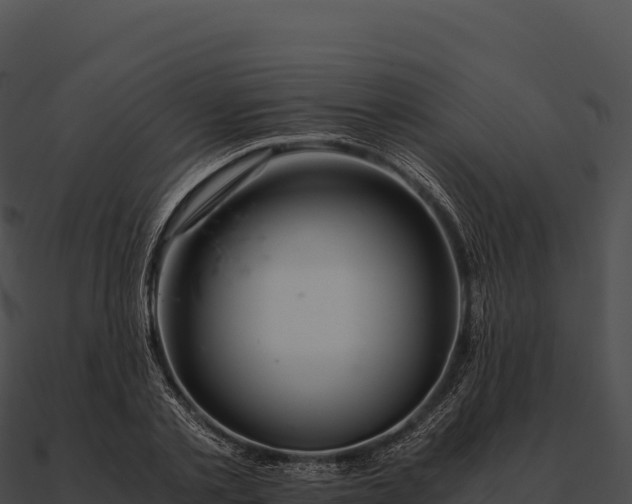 X0000090880789200708031030