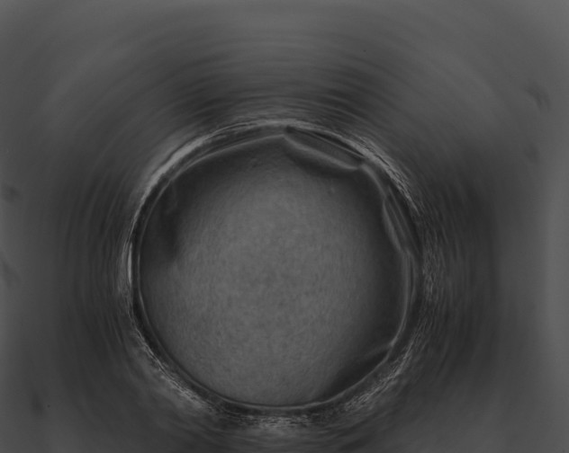 X0000090880790200708031030