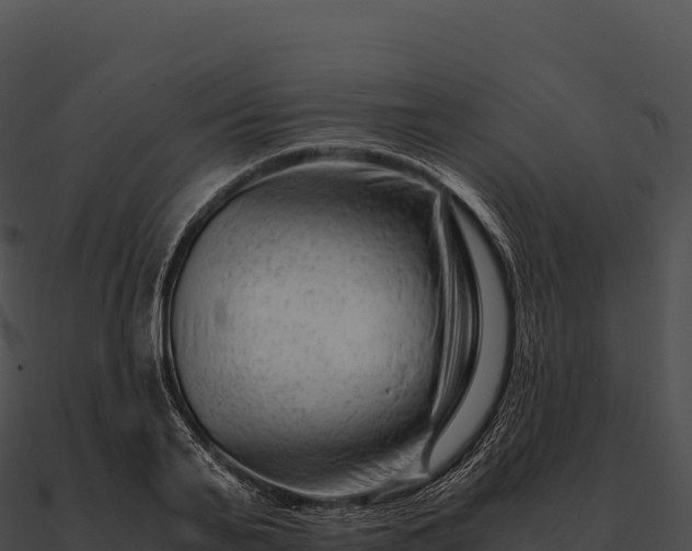 X0000090880791200708031030