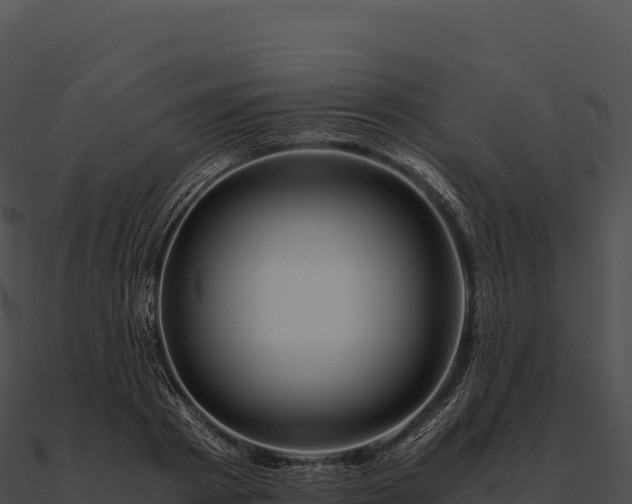 X0000090880793200708031030