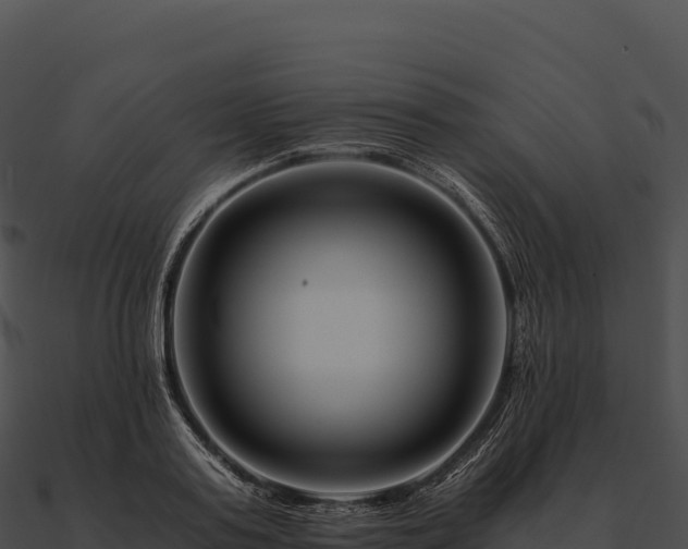 X0000090880795200708031030