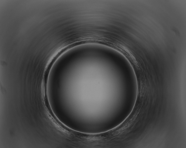 X0000090880796200708031030