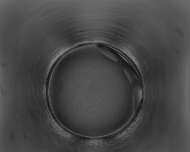 X0000090880797200708031030
