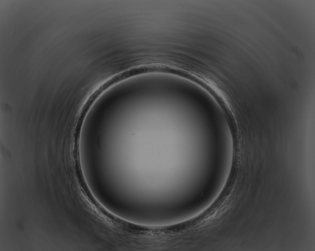 X0000090880799200708031030