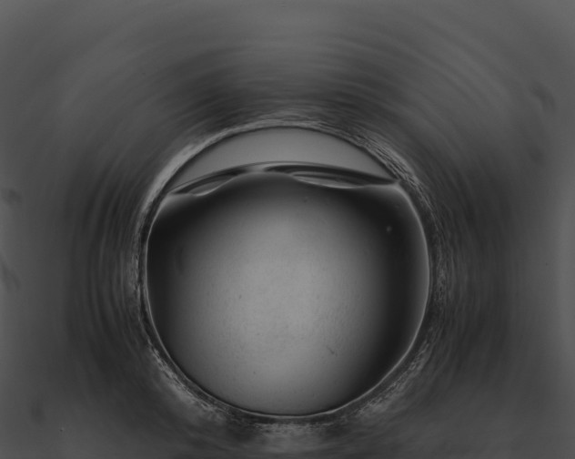 X0000090880800200708031030