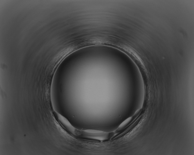 X0000090880801200708031030