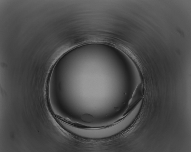 X0000090880803200708031030