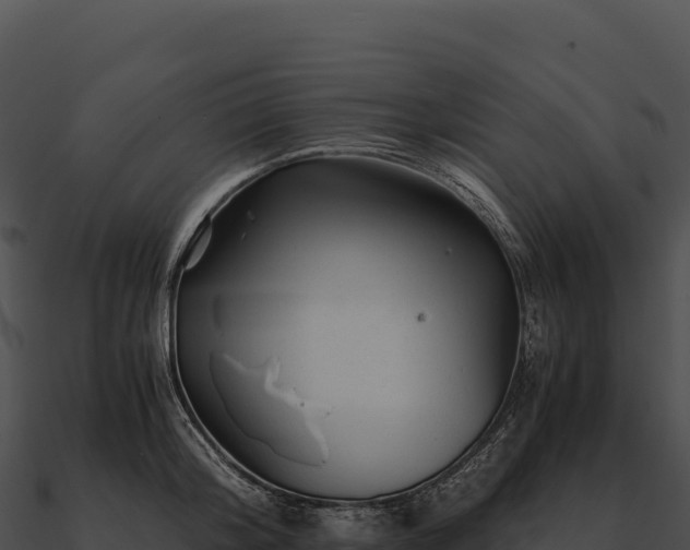 X0000090880804200708031030