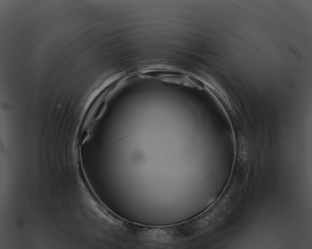 X0000090880806200708031030