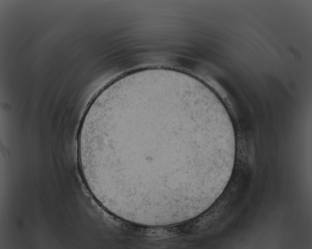 X0000090880807200708031030