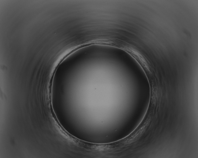 X0000090880808200708031030