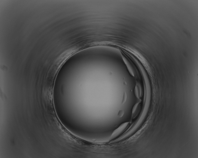 X0000090880809200708031030