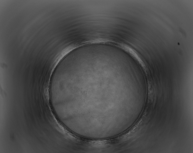 X0000090880810200708031030