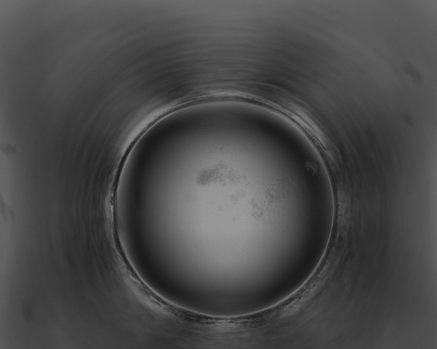 X0000090880814200708031030