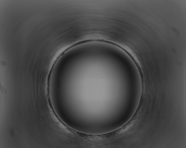 X0000090880815200708031030