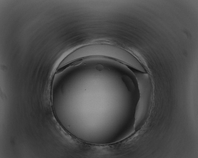 X0000090880816200708031030