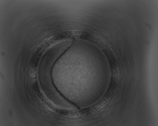X0000090880818200708031029