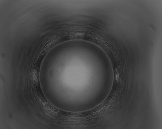 X0000090880819200708031029