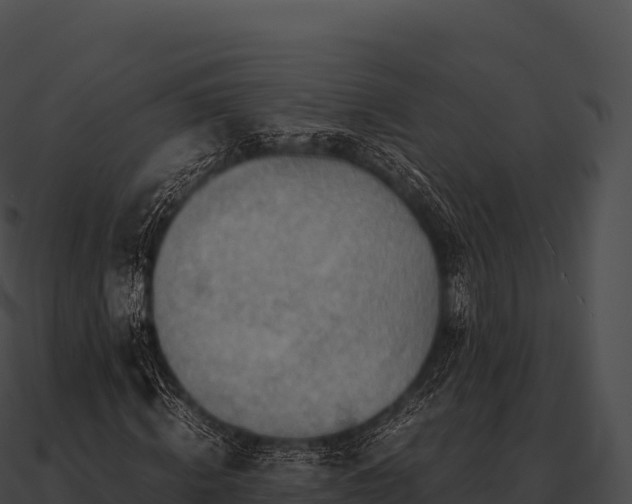 X0000090880820200708031029