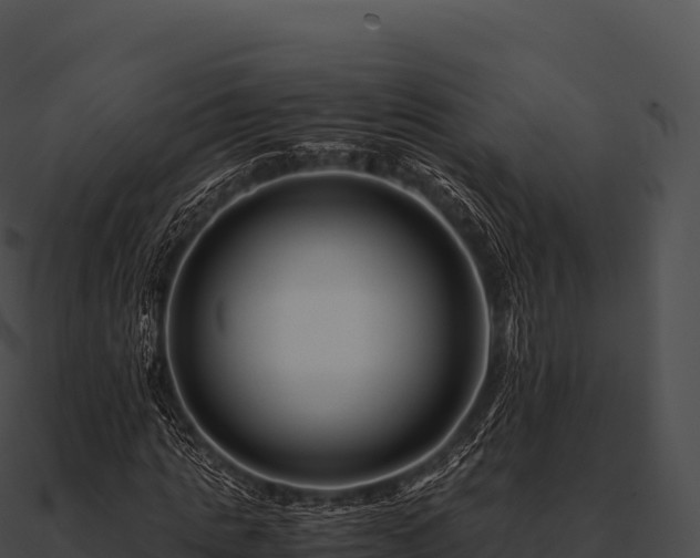 X0000090880821200708031029