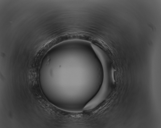 X0000090880822200708031029