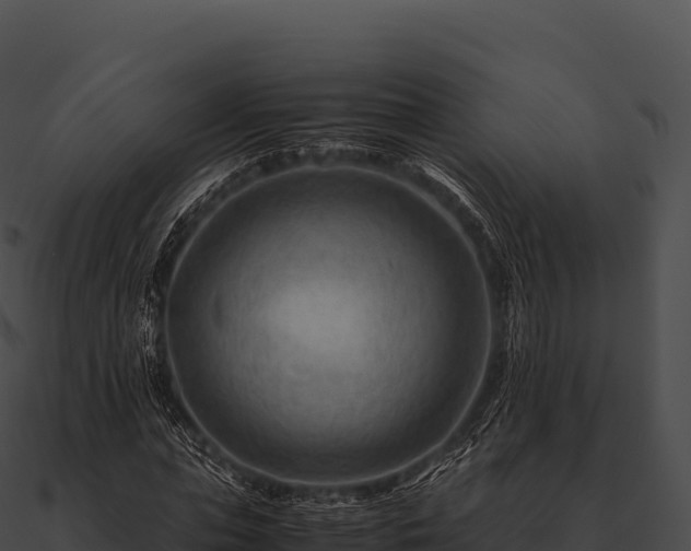 X0000090880823200708031029