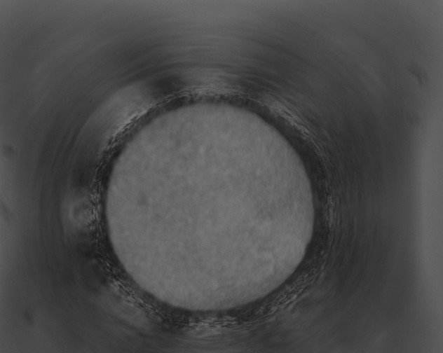 X0000090880824200708031029