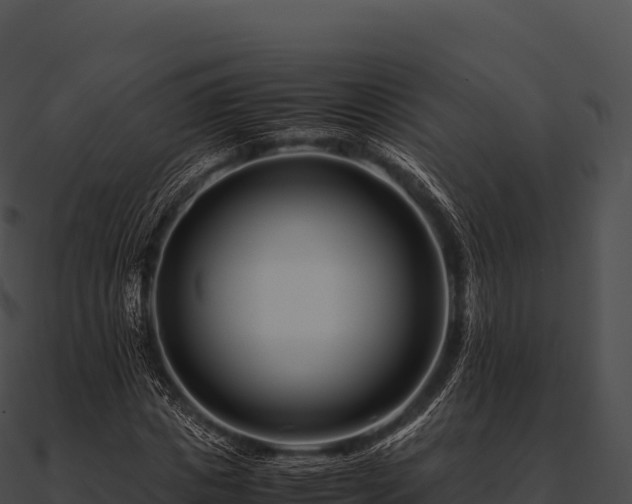 X0000090880825200708031029