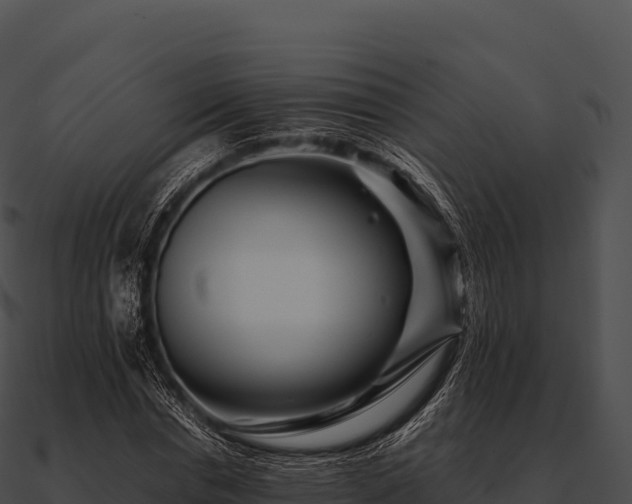 X0000090880826200708031029