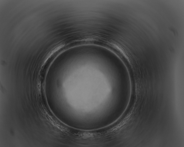X0000090880827200708031029