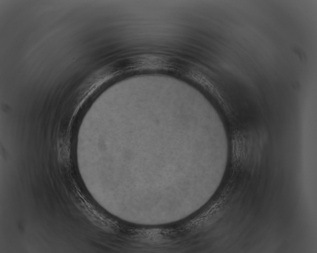 X0000090880828200708031029