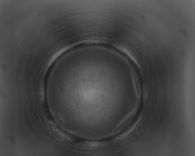 X0000090880829200708031029