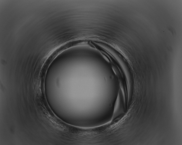 X0000090880830200708031029