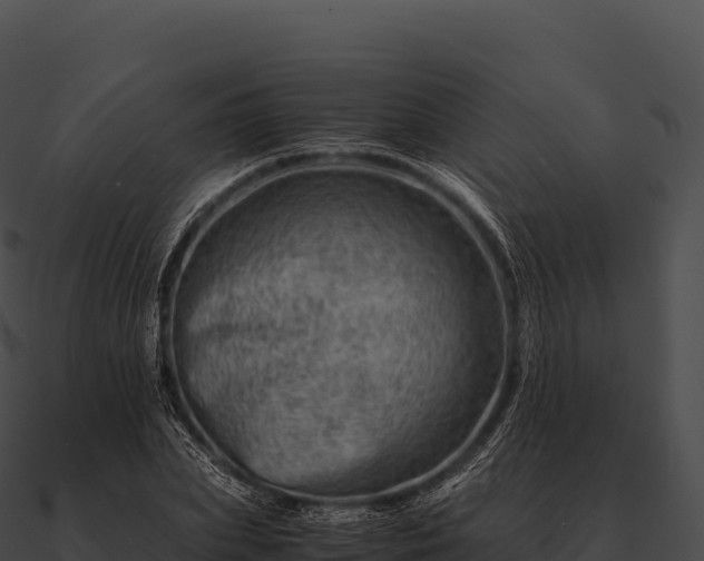X0000090880831200708031029